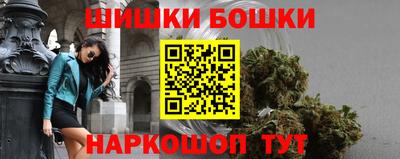 индика Будённовск