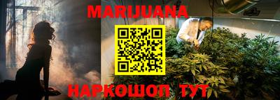 индика Будённовск