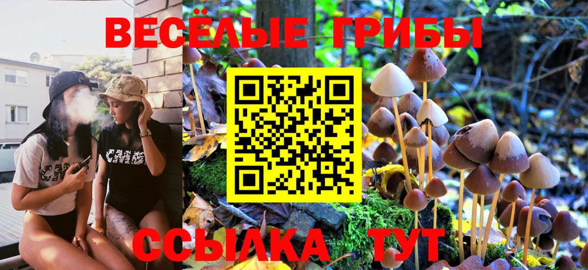 купить наркотики сайты  Галлюциногенные грибы Magic Shrooms  Вход с VPN  Ялуторовск 