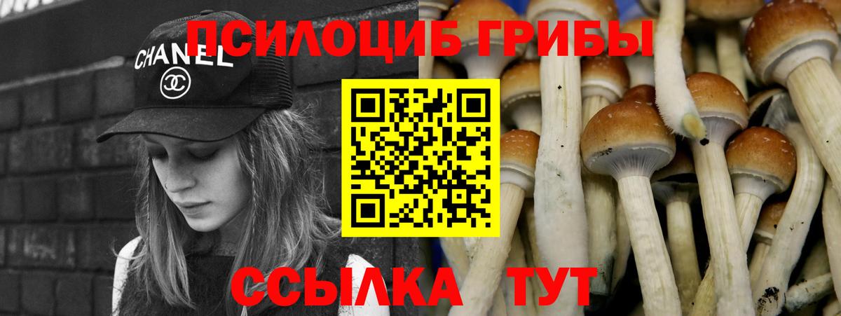 Галлюциногенные грибы Psilocybine cubensis Ялуторовск